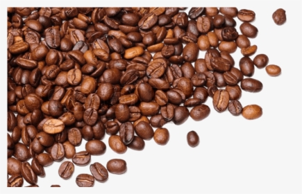 Coffee Beans Transparent Background - Transparent Background Coffee Beans Png, Png Download, Free Download