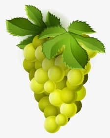 Grape Png Transparent Free Images - Green Grapes Clip Art, Png Download, Free Download