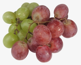 Grape Png Image - Transparent Grape, Png Download, Free Download