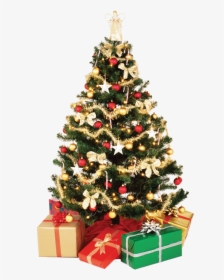 Christmas Tree With Presents Png Image - Christmas Tree Png Transparent, Png Download, Free Download