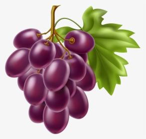Fruit Clipart Grape - Clipart Fruit Png, Transparent Png, Free Download