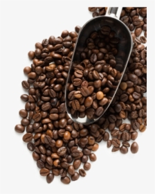 Coffee Beans Png Free Download - Coffee Beans Image Png, Transparent Png, Free Download