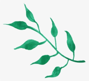 Png Transparent Leaf Watercolor Png, Png Download, Free Download