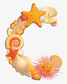 Beach Letter C - Seashell Letter S Clipart, HD Png Download, Free Download