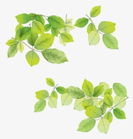Green Leaves Png Image - Green Leaves Transparent Background, Png Download, Free Download