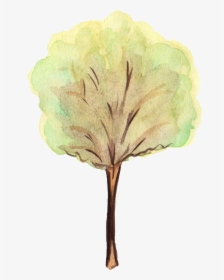 Png Water Color Tree - Tree Water Color Png, Transparent Png, Free Download