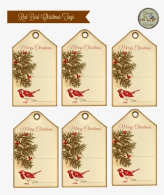 This A Simple Gift Tag I Made Using A Cute Red Bird - Étiquettes Noel Vintage, HD Png Download, Free Download