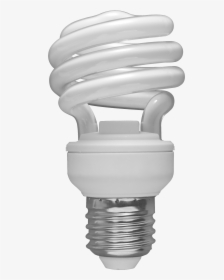 White Day Light Bulb Png Image - Cfl Bulb Png, Transparent Png, Free Download