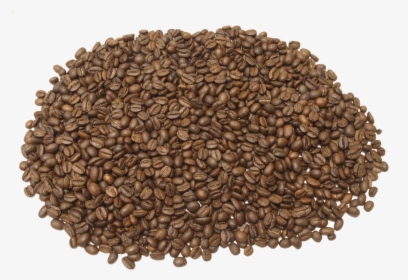 Seed, HD Png Download, Free Download