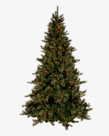 Christmas Tree Modern - Real Christmas Tree Png, Transparent Png, Free Download