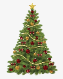Christmas Tree Clipart Png Image, Transparent Png, Free Download
