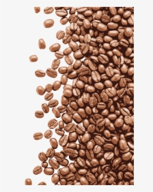 Transparent Coffee Bean Bag Clipart - Coffee Shop Cafe Banner, HD Png Download, Free Download