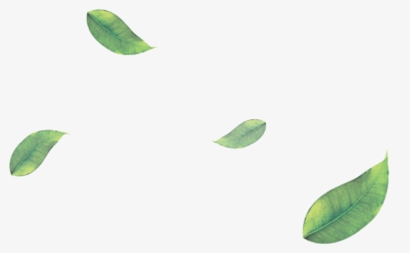 Green Leaf Png Pic - Falling Leaves Green Png, Transparent Png, Free Download