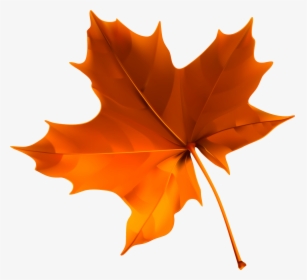 Fall Leaves Border Labels Png - Autumn Leaf Png, Transparent Png, Free Download