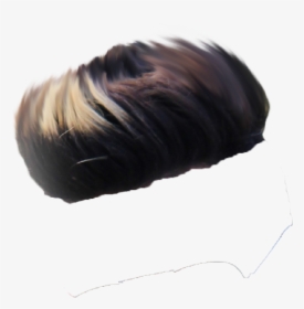 Hair Style PNG Images, Free Transparent Hair Style Download - KindPNG