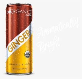 Red Bull Organic Ginger, HD Png Download, Free Download