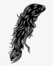 Women Hair Png Image - Girls Hair Style Png, Transparent Png, Free Download