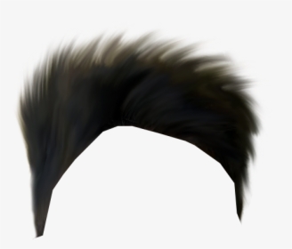 Hair Png Transparent Image - Hair Png Images Boy, Png Download, Free Download