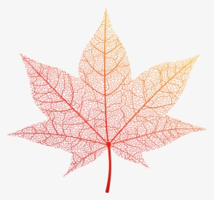 Leaf,maple Leaf,tree,plant,woody Plant,sweet Gum,black, HD Png Download, Free Download
