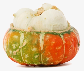 Autumn Pngs, Transparent Png, Free Download