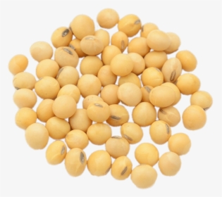 Dried Soybeans, HD Png Download, Free Download