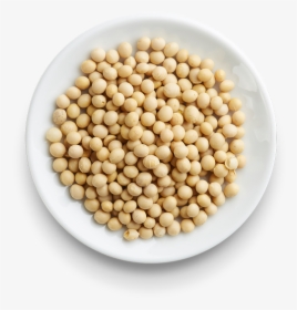 Soybean Png, Transparent Png, Free Download