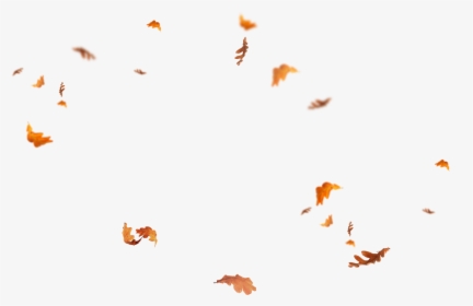 Autumn Pngs, Transparent Png, Free Download