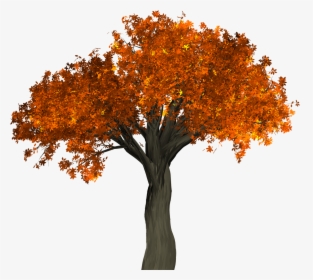 Autumn Tree, HD Png Download, Free Download