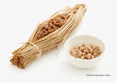 Soybeans Png, Transparent Png, Free Download