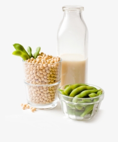 Soybeans Png, Transparent Png, Free Download