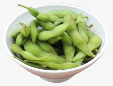 Beans Vector Edamame, HD Png Download, Free Download