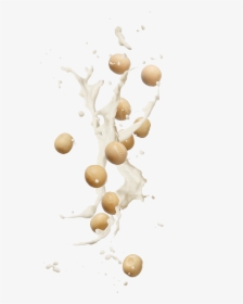 Soybeans Png, Transparent Png, Free Download