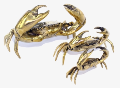 Sea Crab - Gold Crab Coco Republic, HD Png Download, Free Download
