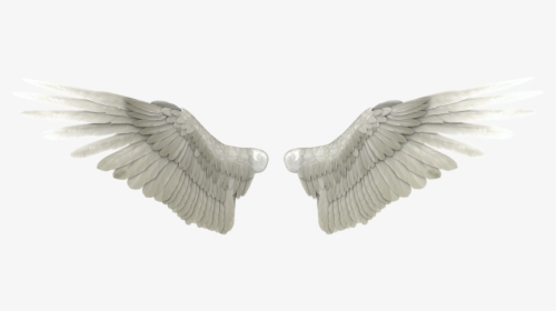 Angel Wings Png High-quality Image - Realistic Angel Wings Png, Transparent Png, Free Download