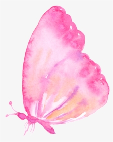 Pink Butterfly Cartoon Transparent - Borboleta Png Fundo Transparente, Png Download, Free Download
