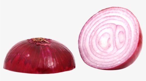 Red Sliced Onion Png Image - Red Onion Png, Transparent Png, Free Download