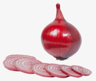 Red Onion Png Image - Red Onions Png, Transparent Png, Free Download