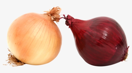 Yellow Onion Png, Transparent Png, Free Download