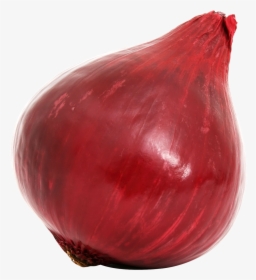 Red Onion Bulb Png Image - Onion, Transparent Png, Free Download