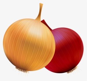 Onion And Red Onion Png Clipart - Onion Clipart Png, Transparent Png, Free Download