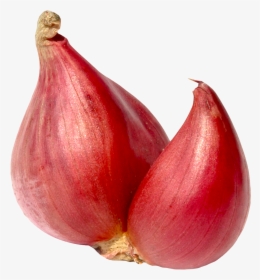 Shallot Onion Png, Transparent Png, Free Download