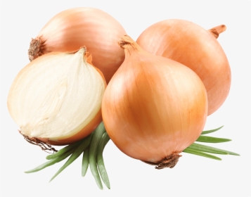 Transparent Png Stickpng A - Onion Png, Png Download, Free Download