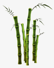 Barbecue Clipart Memorial Day - Bamboo Tree Png, Transparent Png, Free Download