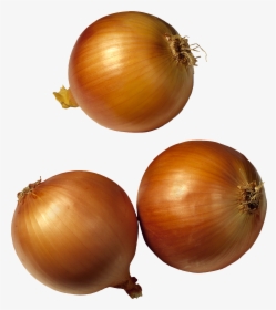 Onion Png Image, Transparent Png, Free Download