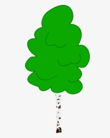 Birch Tree Forest Free Picture - Birch Clipart, HD Png Download, Free Download