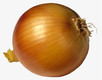 Onion Images Usseekm - Onions Transparent Background, HD Png Download, Free Download