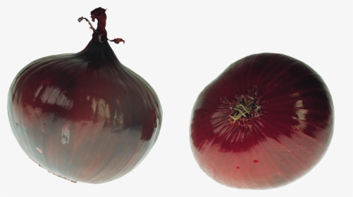 Onion Png Image - Onion, Transparent Png, Free Download