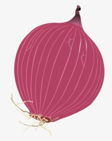 Red Onion, HD Png Download, Free Download