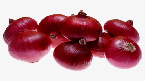 Onion Images Hd, HD Png Download, Free Download