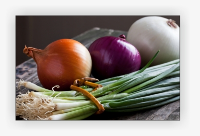 Raw Onions, HD Png Download, Free Download